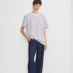 Babaton Aritzia Pegasus Striped T-Shirt